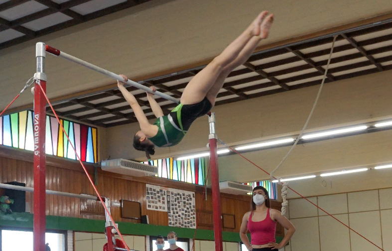 Gimnasia artística