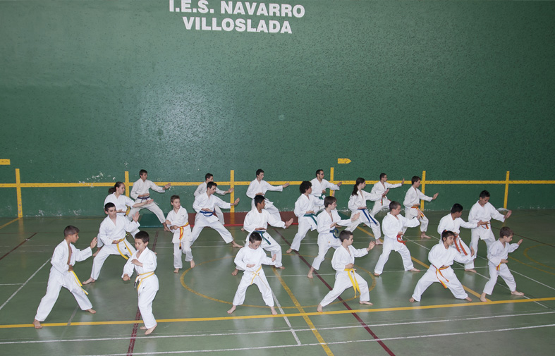 Exhibición de karate
