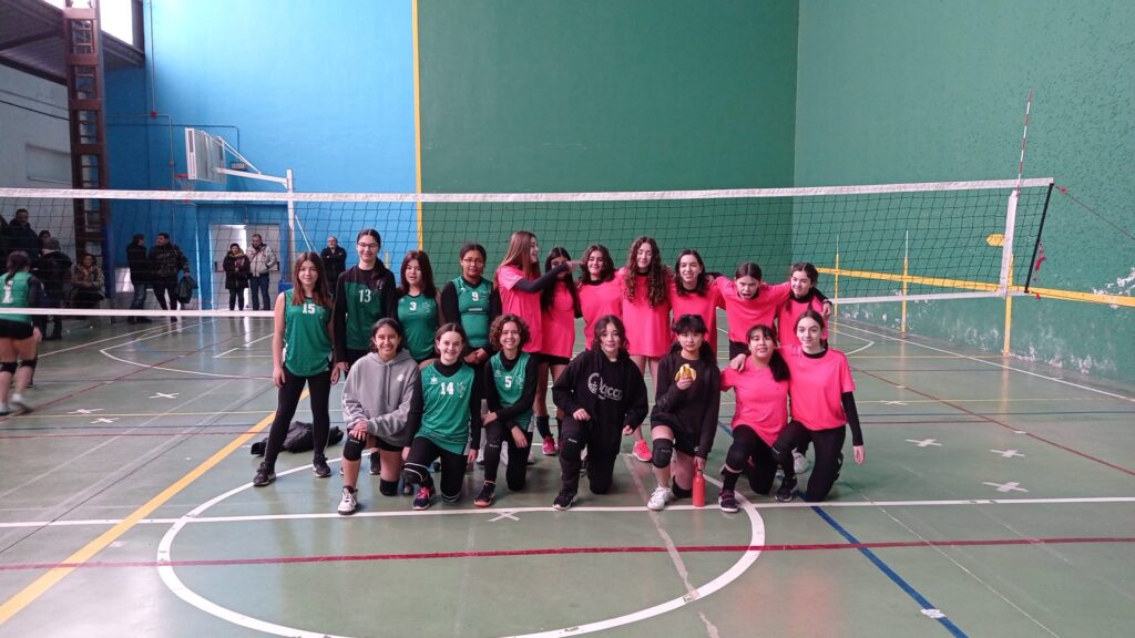 voleibol cd navarro villoslada