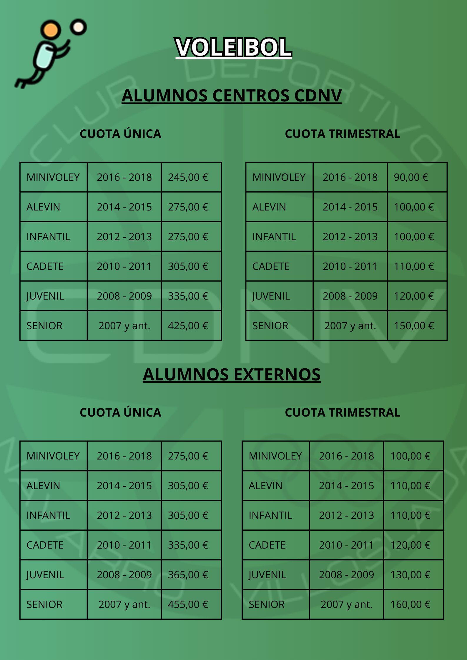 voleibol